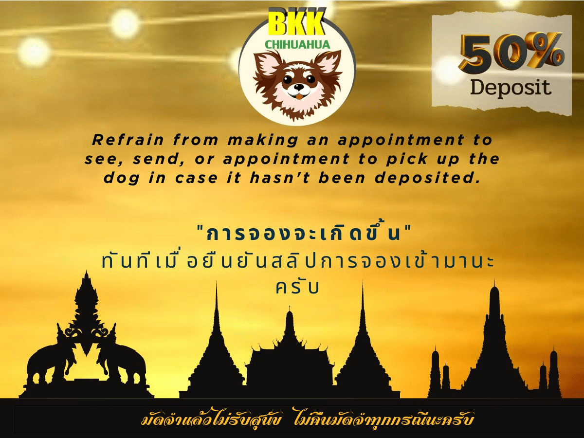 บีเคเค-ชิวาวา